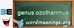 WordMeaning blackboard for genus ozothamnus